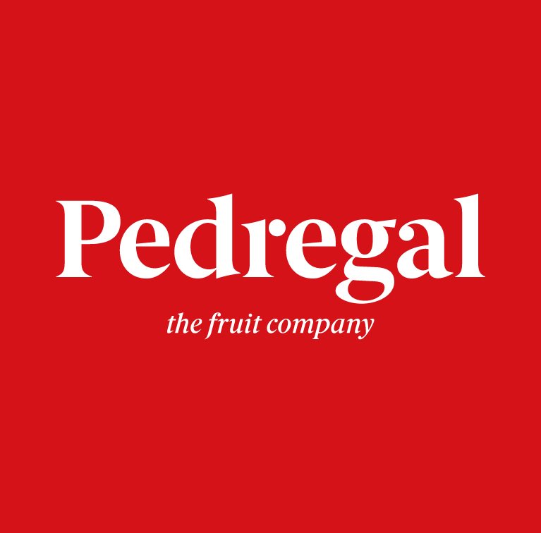 El Pedregal